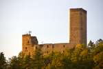Burg Ehrenstein