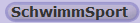 SchwimmSport
