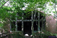 Alpenhaus (200)
