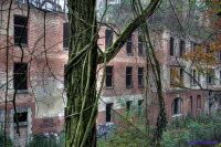 Alpenhaus (213)
