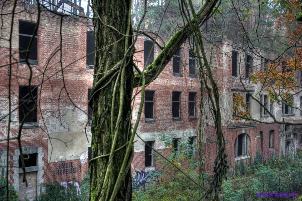 Alpenhaus (213)