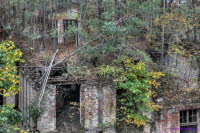Alpenhaus (215)