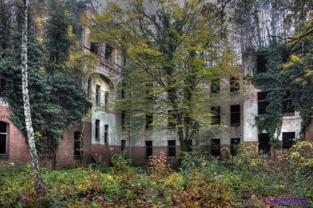 Alpenhaus (218)