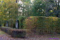 Altdbern 15