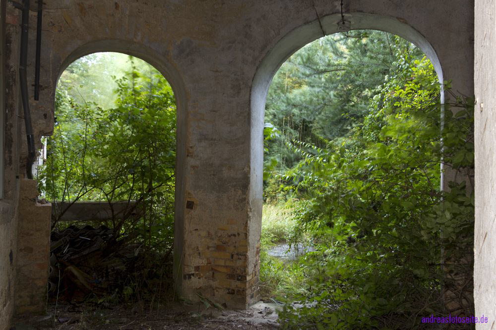 AmSchloss (13)