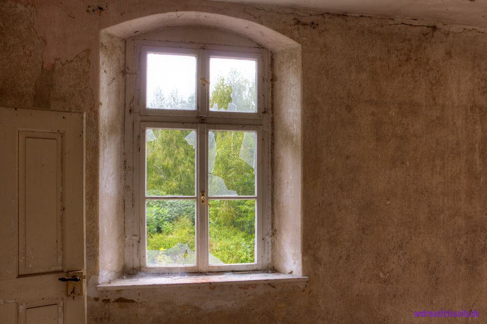 AmSchloss (22)