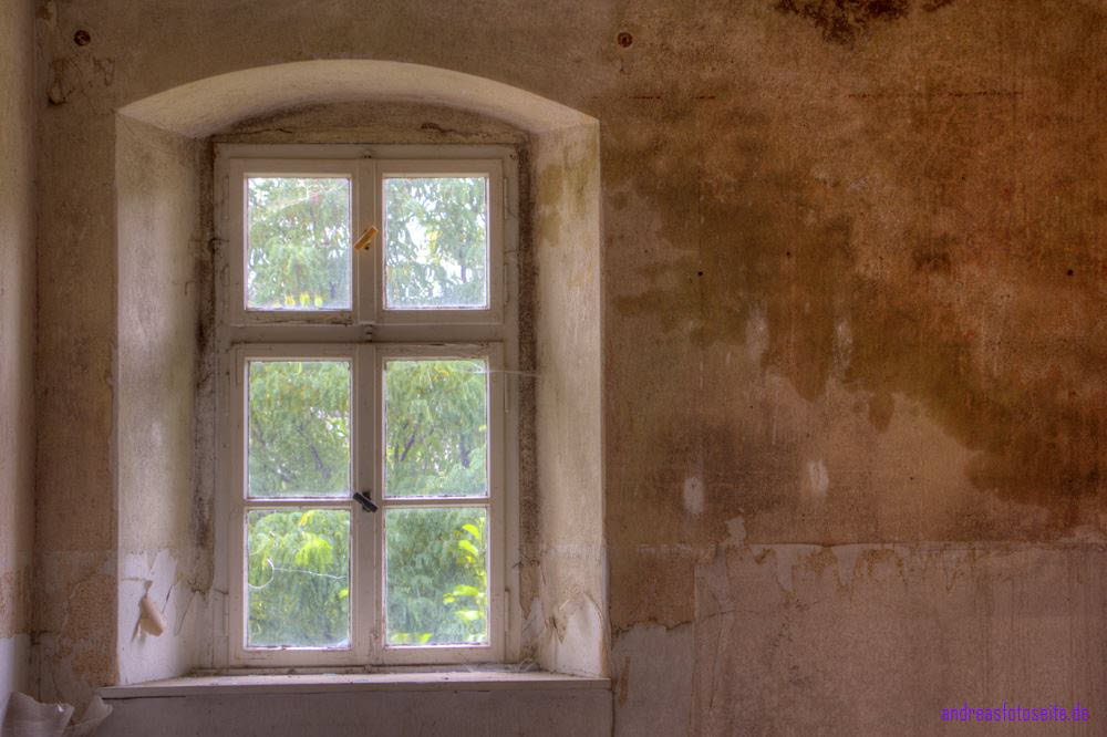 AmSchloss (24)