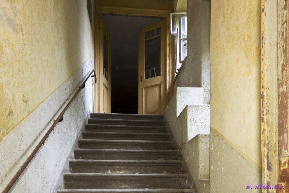 AmSchloss (26)