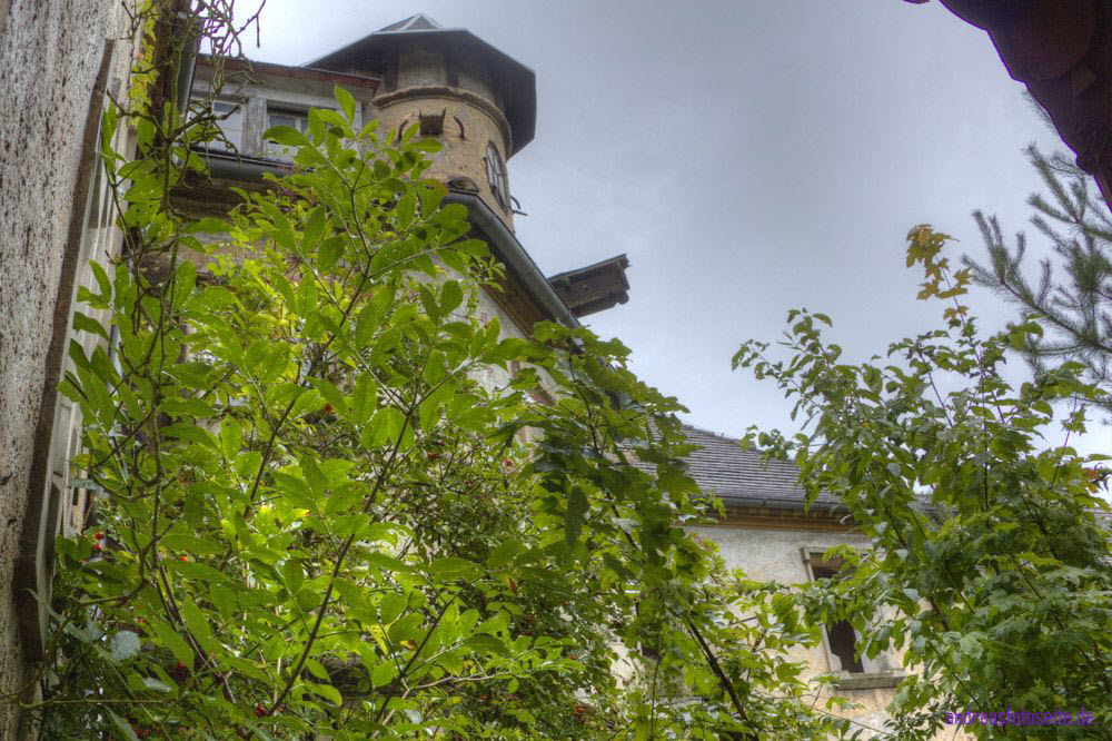 AmSchloss (28)