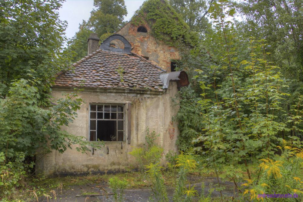 AmSchloss (31)
