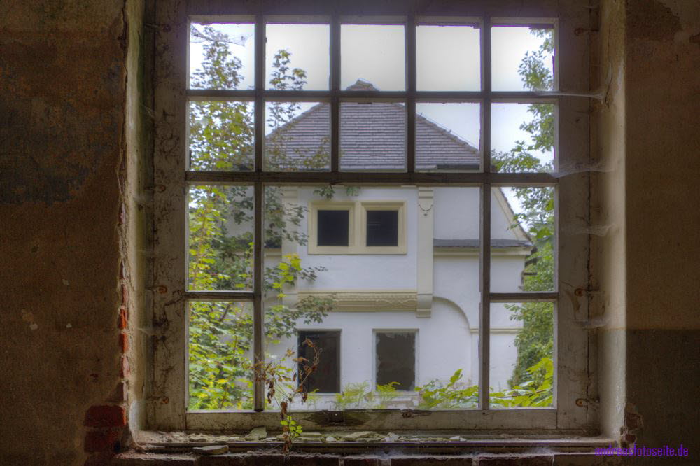AmSchloss (33)
