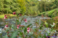 An der Mulde