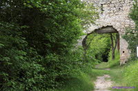 Brandenburg (10)