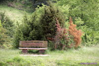 Brandenburg (12)