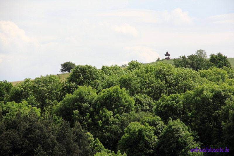 Brandenburg (13)