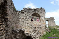 Brandenburg (15)