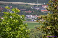 Brandenburg (22)