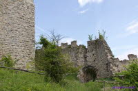 Brandenburg (25)