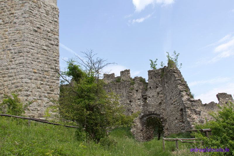 Brandenburg (25)
