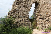 Brandenburg (28)