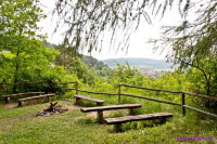 Brandenburg (30)