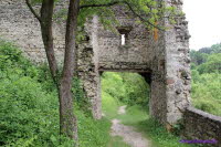 Brandenburg (32)