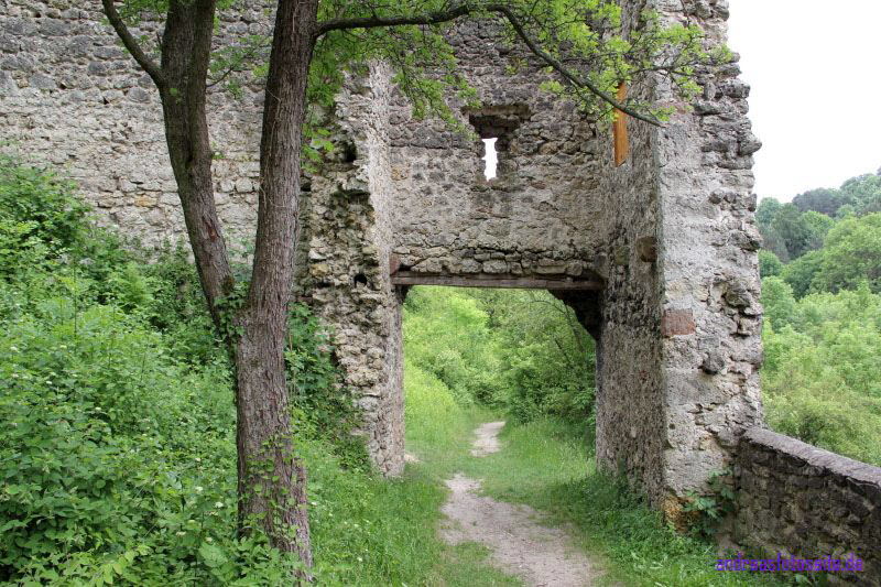 Brandenburg (32)