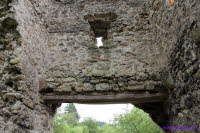 Brandenburg (34)
