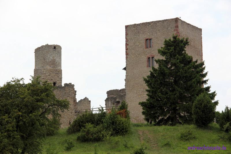 Brandenburg (35)
