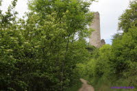 Brandenburg (9)