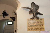 Burg Stein (13)