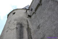 Burg Stein (8)
