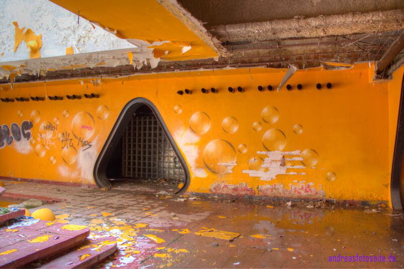 Disko (1)
