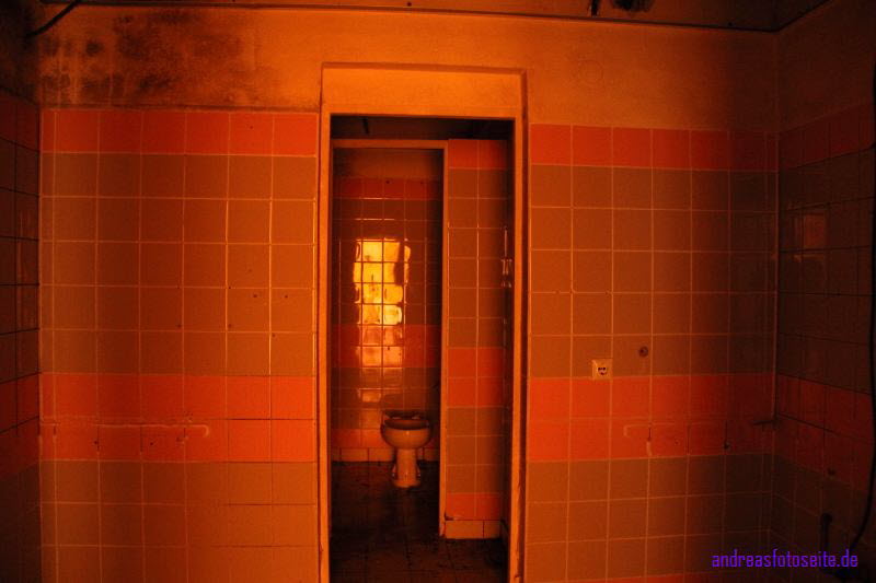 Disko (31)