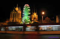Dom Erfurt (17)