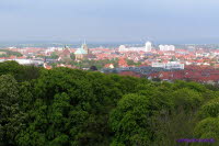 Dom Erfurt (5)