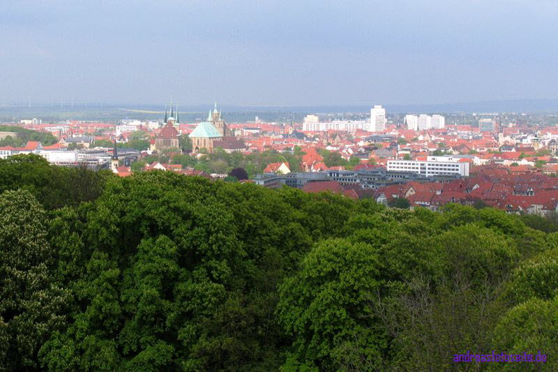 Dom Erfurt (5)