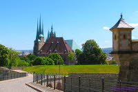Dom Erfurt (7)