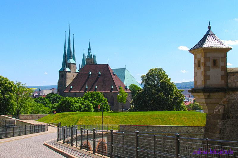 Dom Erfurt (7)
