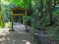Drachenschlucht (1)