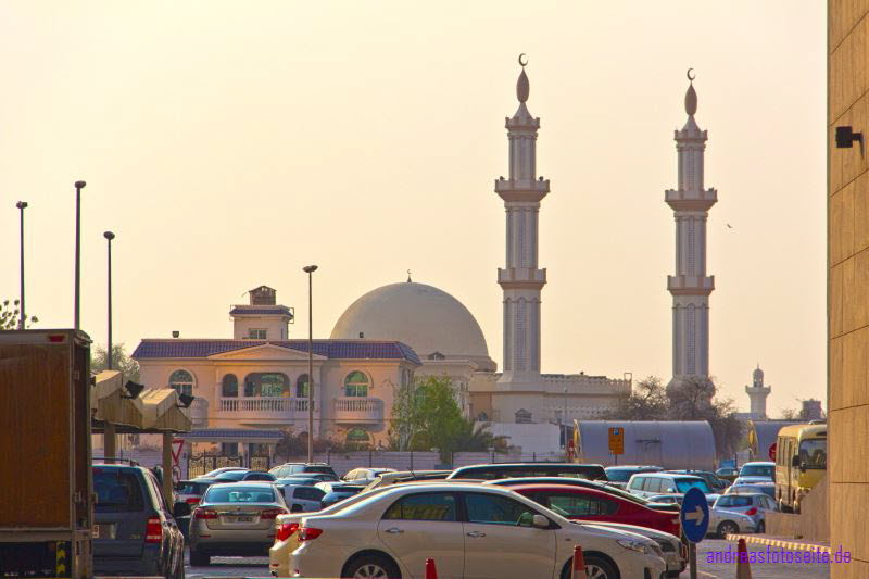 Dubai (113)