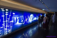 Dubai (182)