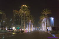 Dubai (241)