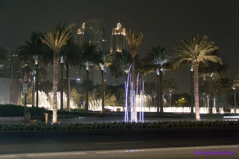 Dubai (243)