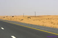 Dubai (275)