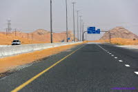 Dubai (278)