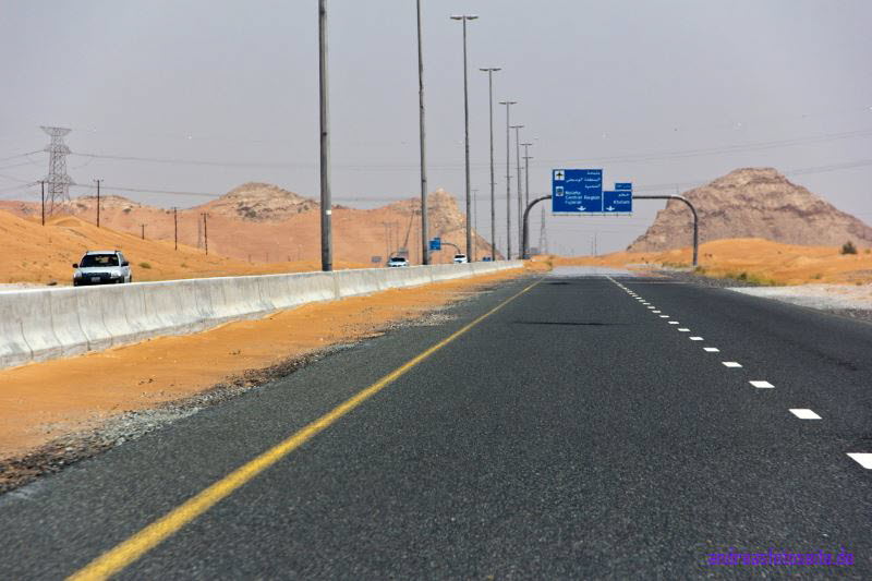 Dubai (278)