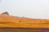 Dubai (279)