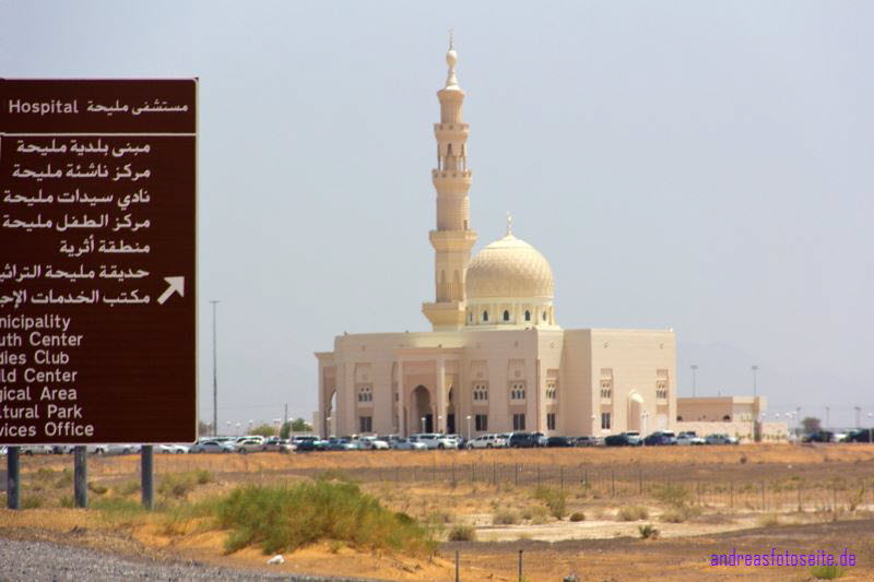 Dubai (282)