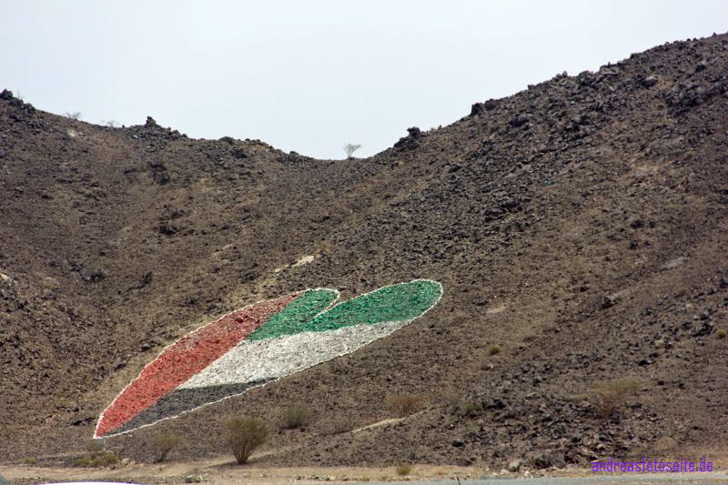 Dubai (288)